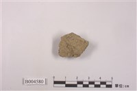 藏品(地衣)的圖片